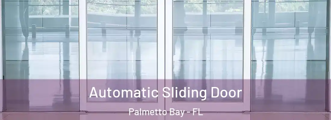 Automatic Sliding Door Palmetto Bay - FL