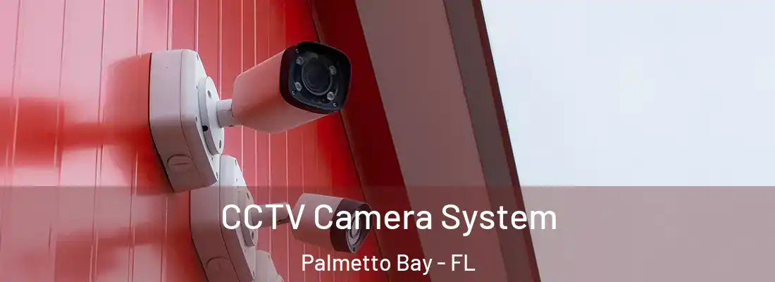 CCTV Camera System Palmetto Bay - FL