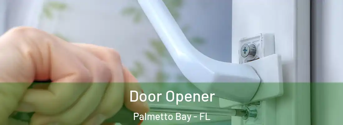 Door Opener Palmetto Bay - FL
