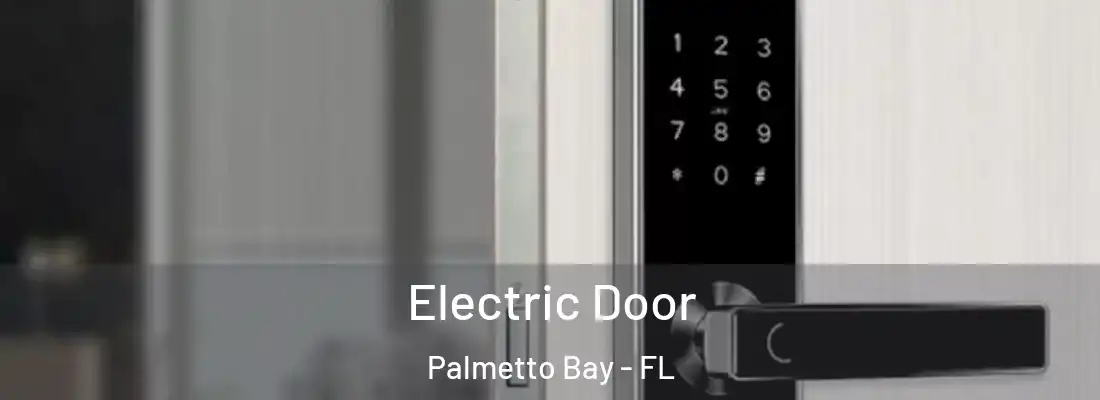  Electric Door Palmetto Bay - FL