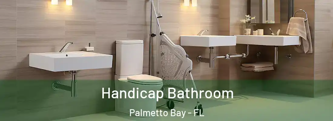  Handicap Bathroom Palmetto Bay - FL