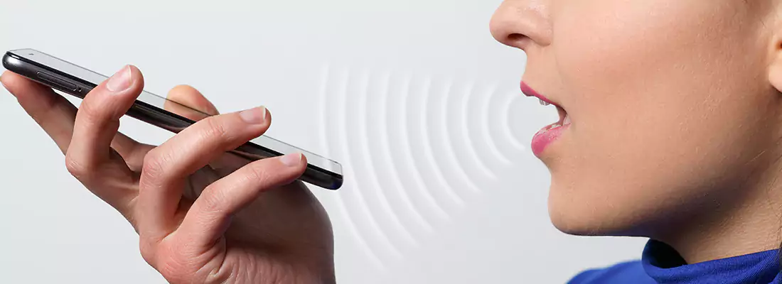 Residential and Commercial Voice Recognition Access Solutions in Palmetto Bay, FL