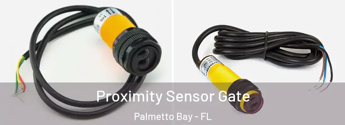 Proximity Sensor Gate Palmetto Bay - FL